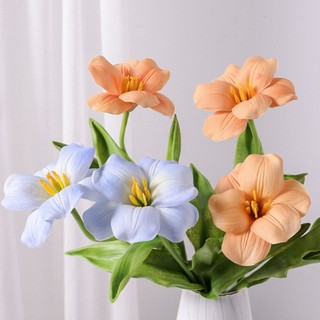 Hoa tulip- Tulip nở cao cấp trang trí nhà cửa, decor cửa hàng, cắm hoa trang trí...
