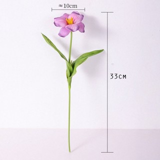Hoa tulip- Tulip nở cao cấp trang trí nhà cửa, decor cửa hàng, cắm hoa trang trí...
