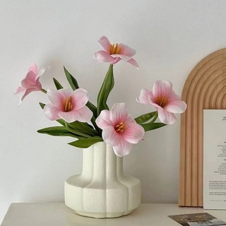 Hoa tulip- Tulip nở cao cấp trang trí nhà cửa, decor cửa hàng, cắm hoa trang trí...