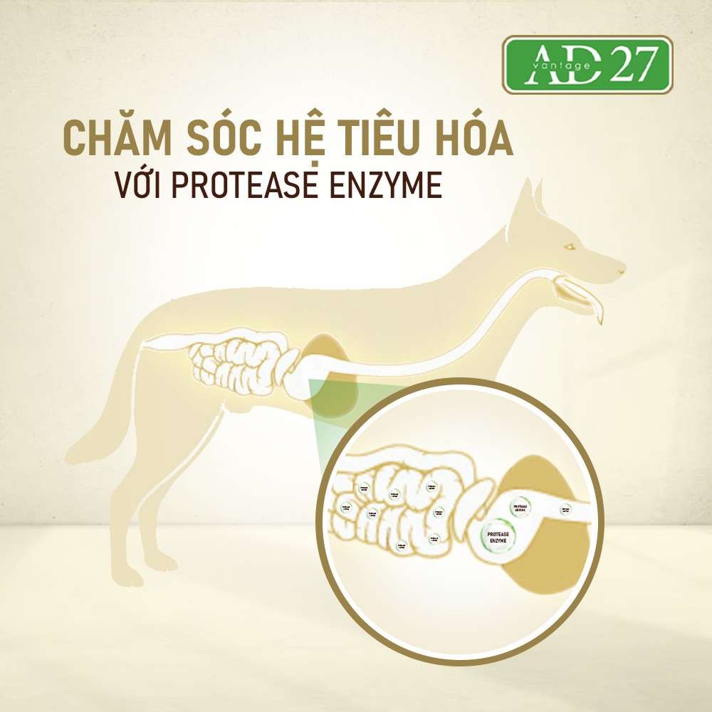 GIẢM GIÁ [1.6KG/500G] ANF AD27 - Thức ăn hạt cho chó dinh dưỡng toàn diện & tăng cường tiêu hóa