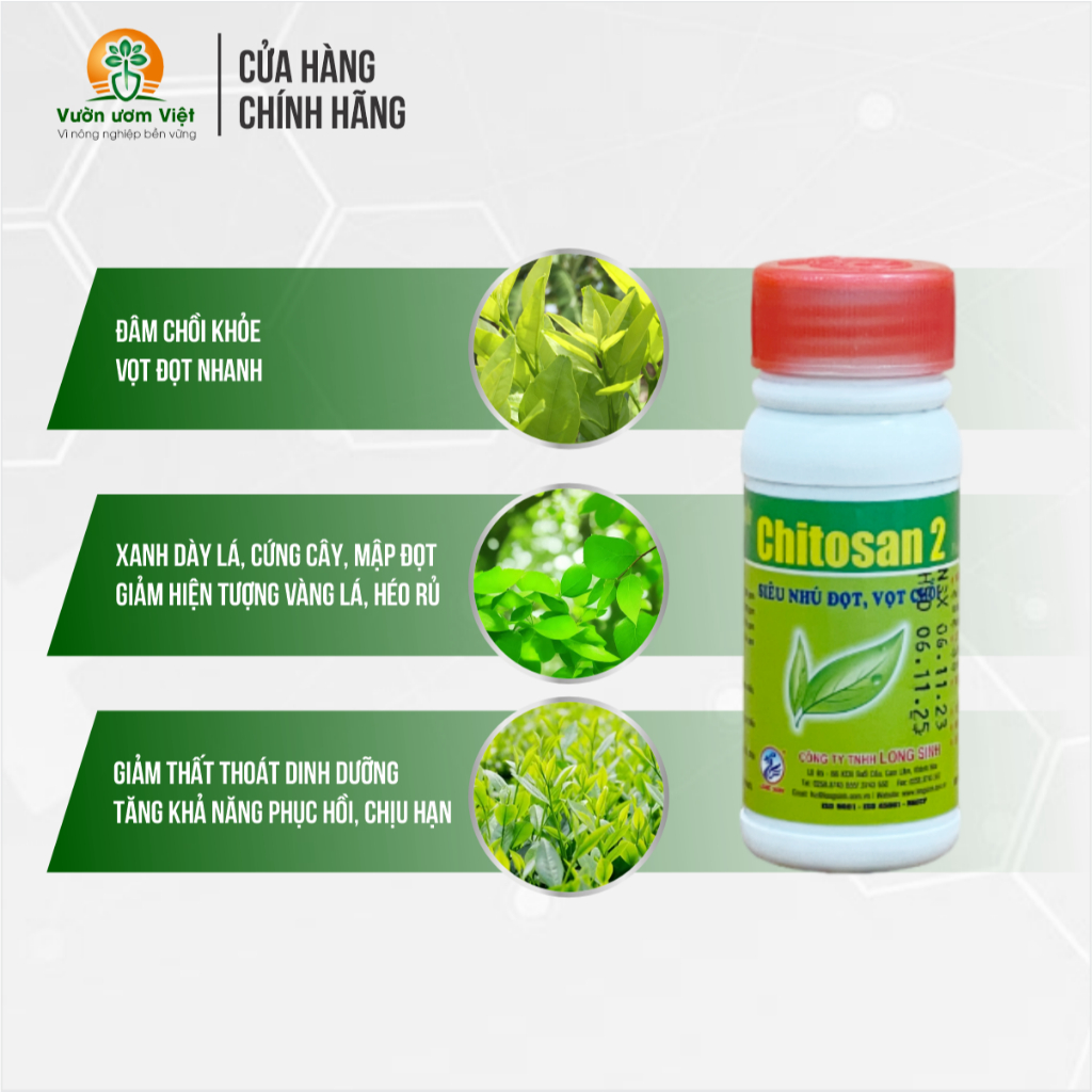 Phân bón hỗn hợp Chitosan 2 - kích ra đọt, xanh to dày lá, đẹp màu cây trồng, cây sáng đẹp