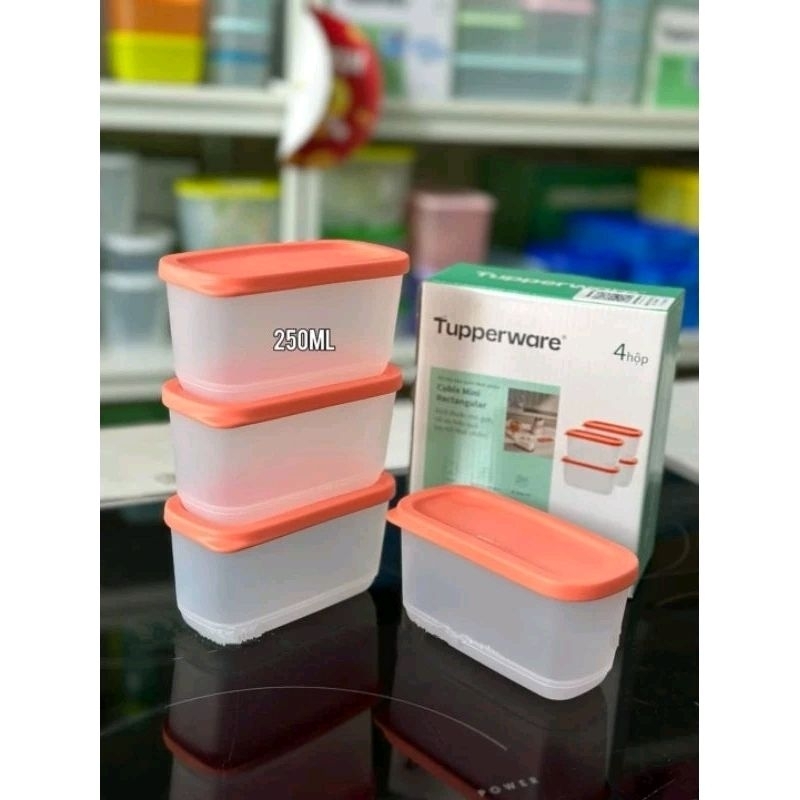 Hộp mini cubix rectangular 250ml Tupperware | Shopee Việt Nam