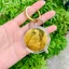 Đồng Xu Quan Âm Bồ Tát Phong Thuỷ May Mắn Tặng Kèm Túi Gấm , Quà Tết