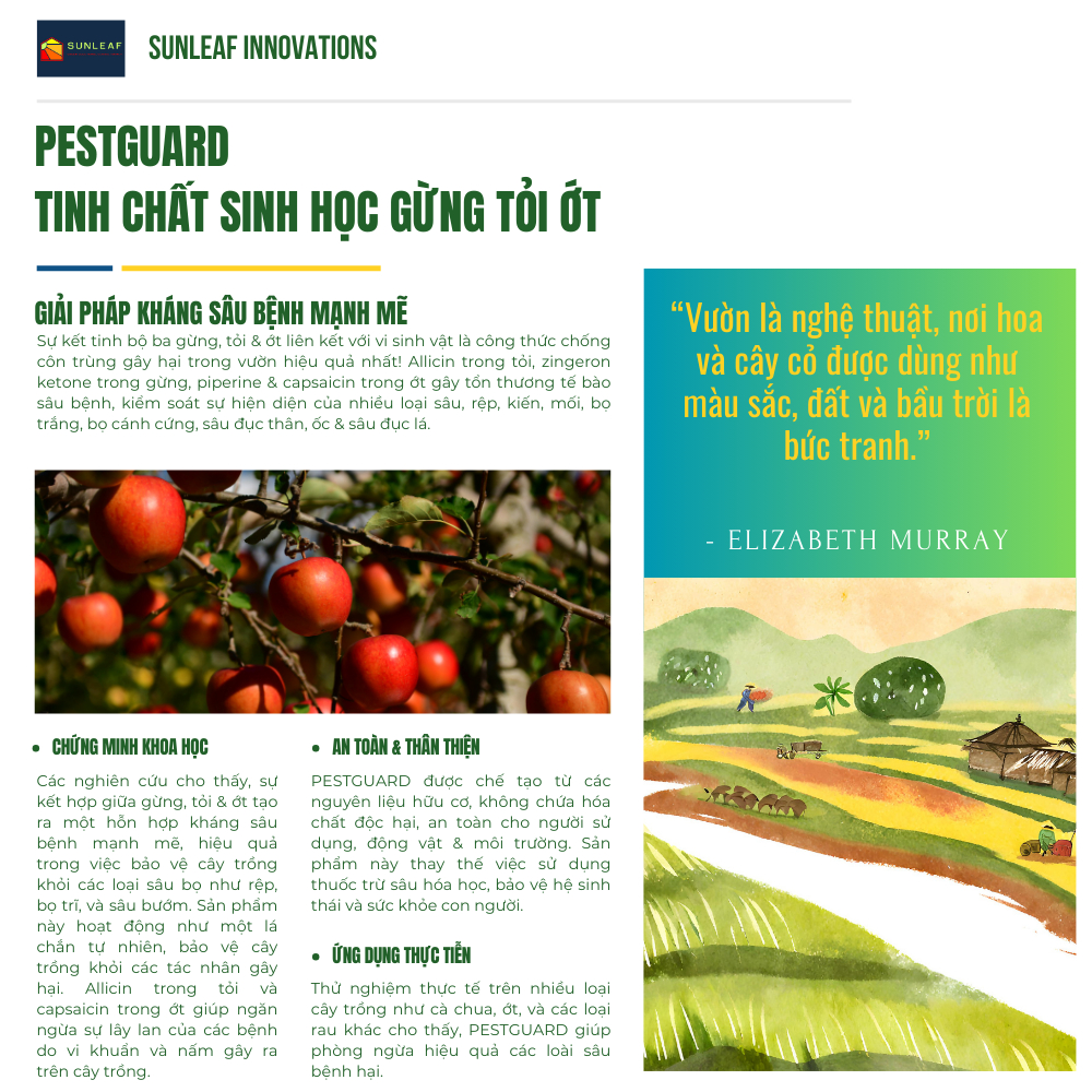 Phòng Rệp Sáp Bọ Trĩ Nhện Đỏ & Ngừa Nấm | 100% Hữu Cơ Chiết Xuất Gừng Tỏi Ớt | Rau, Phong Lan, Hoa Hồng | SUNLEAF