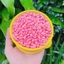 Combo 3 túi sáp wax lông cao cấp sữa dừa tẩy sạch mọi vùng lông, sử dụng cho cả da nhạy cảm Lyihome