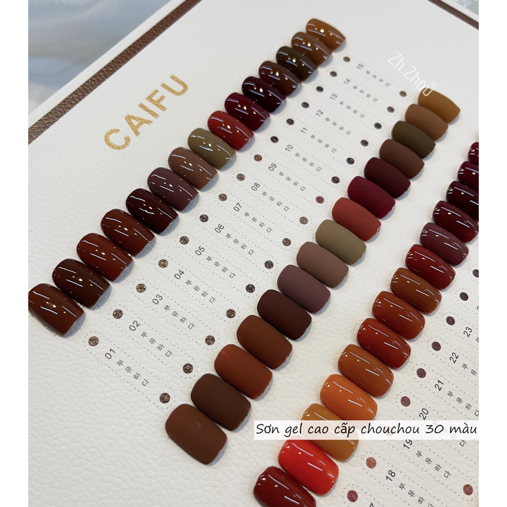 Set Sơn Hàn tông nâu cao cấp, Sơn gel cao cấp. Sơn Caifu. phụ kiện nail cao cấp. tặng bảng màu như hình