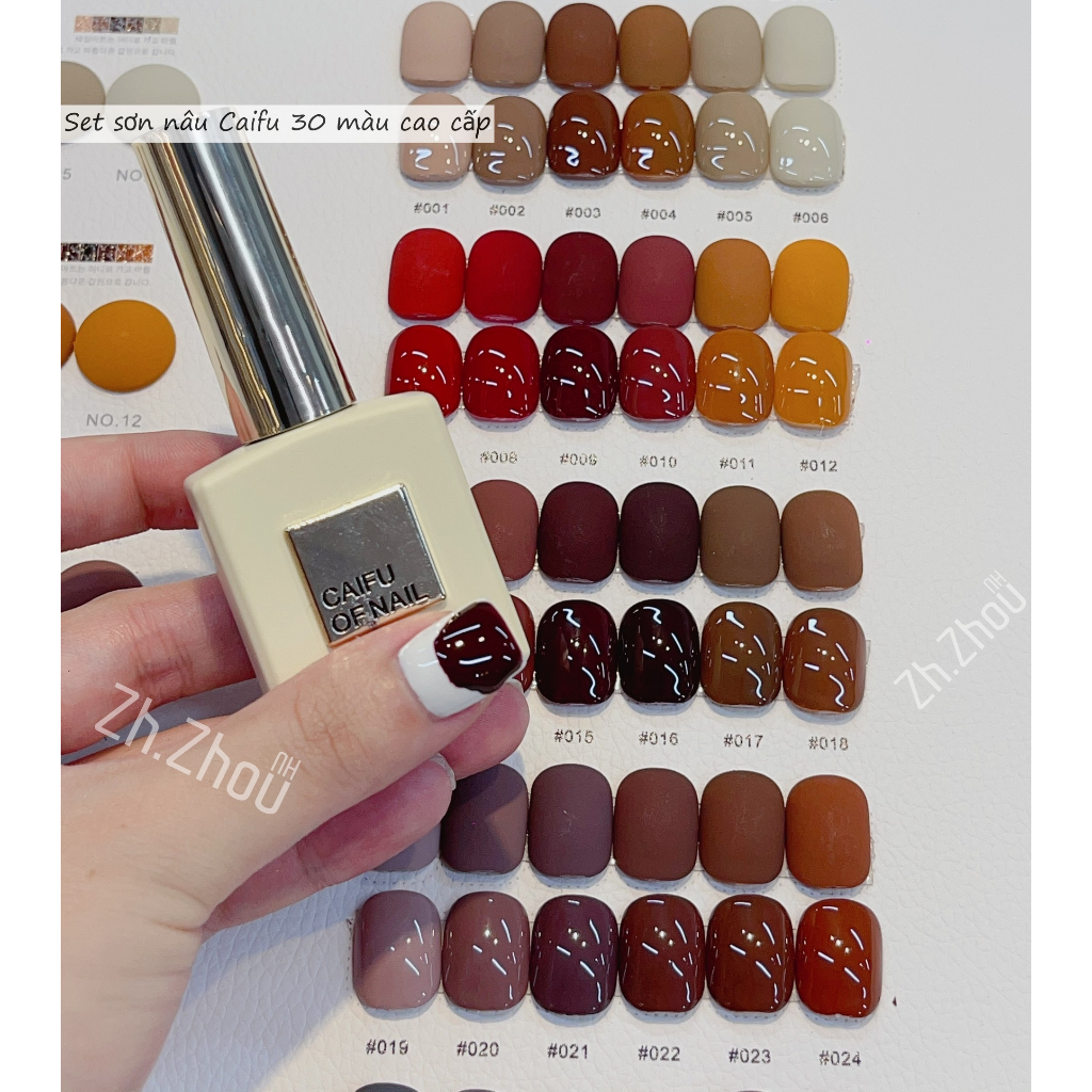 Set Sơn Hàn tông nâu cao cấp, Sơn gel cao cấp. Sơn Caifu. phụ kiện nail cao cấp. tặng bảng màu như hình