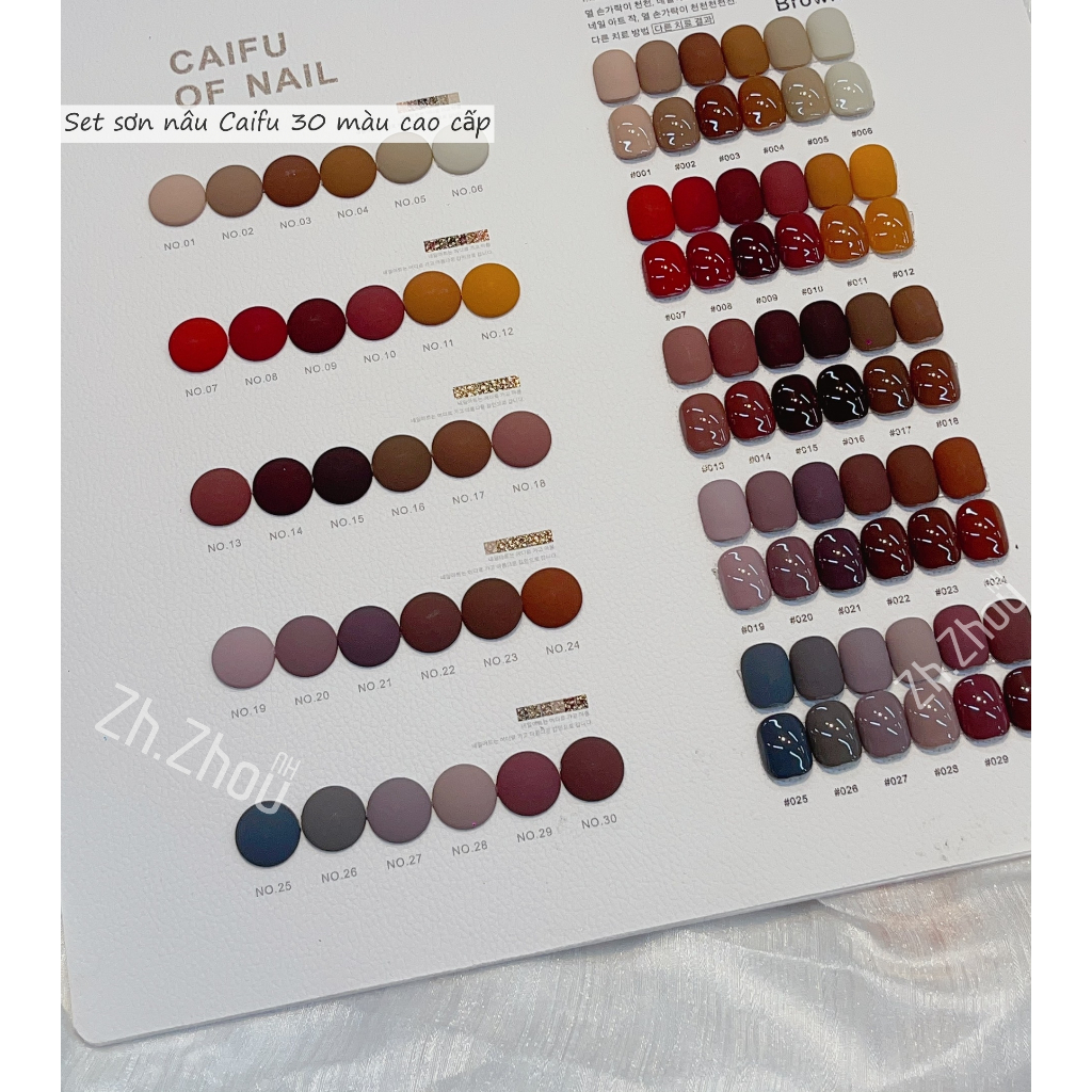Set Sơn Hàn tông nâu cao cấp, Sơn gel cao cấp. Sơn Caifu. phụ kiện nail cao cấp. tặng bảng màu như hình