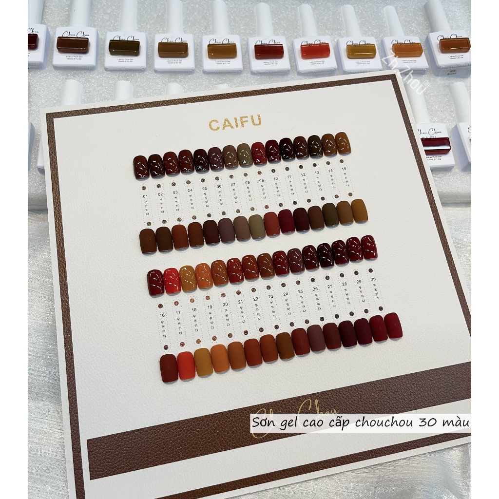 Set Sơn Hàn tông nâu cao cấp, Sơn gel cao cấp. Sơn Caifu. phụ kiện nail cao cấp. tặng bảng màu như hình