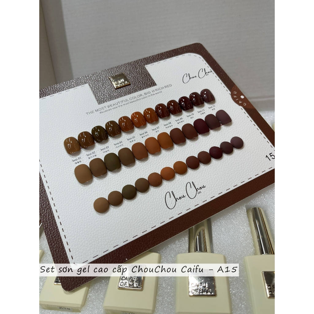 Set Sơn Hàn tông nâu cao cấp, Sơn gel cao cấp. Sơn Caifu. phụ kiện nail cao cấp. tặng bảng màu như hình