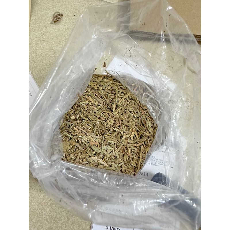 500GR Trắc Bá Diệp ( Khô, Đẹp, Thơm ) Hàng Loại 1