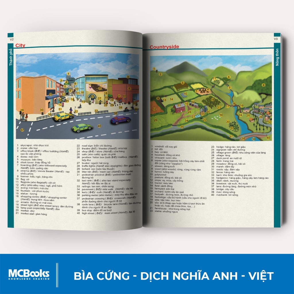 Sách - Từ Điển Anh - Việt - Phiên Bản Bìa Xanh Cứng - Giải Nghĩa Đầy Đủ Ví Dụ Phong Phú