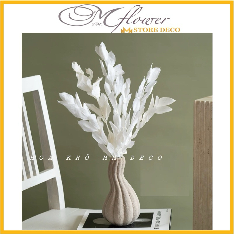 Lá Chanh Ý khô tẩy trắng deco trang trí nhà cửa, hoa lá khô deco phong ...