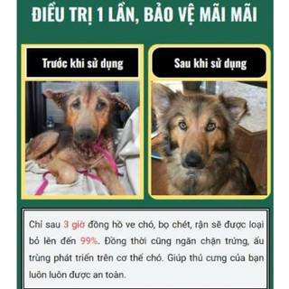 ✅ FLEA REMOVER- Dung dịch xịt diệt ve,bọ chét, rận chó , mèo