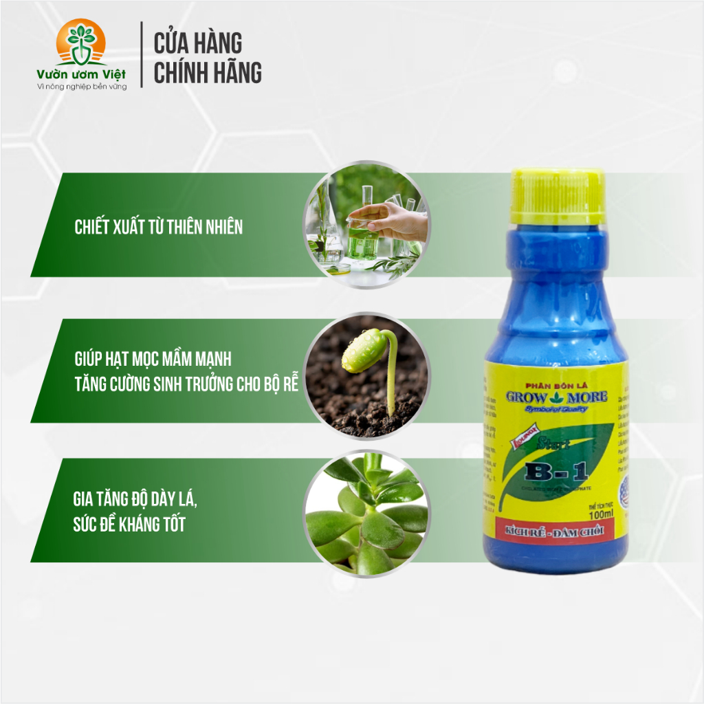 Phân bón lá Vitamin B1 - tạo mầm cây, tăng cường sinh trưởng, sức đề kháng tự nhiên - 100ml