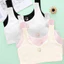Combo 4 Áo Lót Nữ Sinh Cotton Sọc Dáng Croptop - Set 4 Áo Lá Học Sinh 2 Lớp Dày Dặn ZANABRA A8574