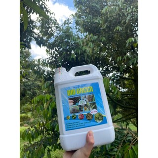 Bio Green-Chuyên dùng cho sầu riêng, cây ăn trái,cây có múi phòng bệnh thối rễ, nứt thân, xì mủ can 5 lít