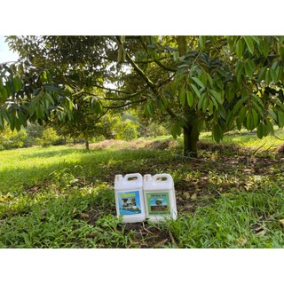 Bio Green-Chuyên dùng cho sầu riêng, cây ăn trái,cây có múi phòng bệnh thối rễ, nứt thân, xì mủ can 5 lít