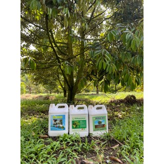 Bio Green-Chuyên dùng cho sầu riêng, cây ăn trái,cây có múi phòng bệnh thối rễ, nứt thân, xì mủ can 5 lít