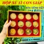 Bộ Quà Tặng Hộp Xu 12 Con Giáp Phong Thuỷ May Mắn, chiêu tài chiêu lộc - Bản Tiếng Việt