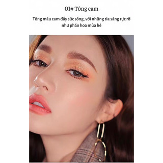 Phấn mắt bảng dài 9 ô màu nhũ tuyến lâu trôi Lameila Beautiful Color