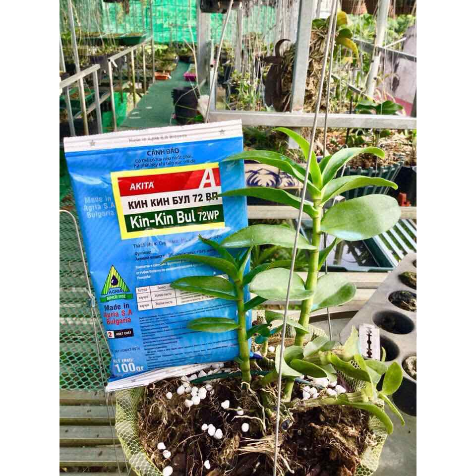 Thuốc Trị Thối Nhũn Kin Kin Bul 72WP Phòng Trừ Thối Nhũn, Vàng Lá, Rỉ ...