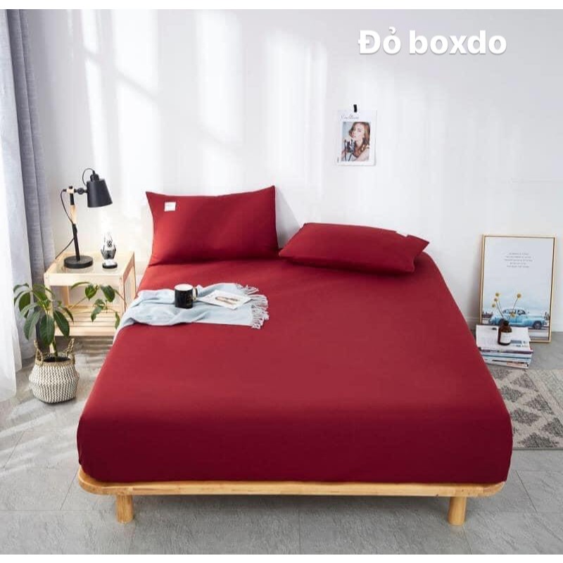 Ảnh Bộ ga gối Cotton Tici siêu dày dặn, Ga giường tici 3 món cao cấp, cắt ga theo yêu cầu 2