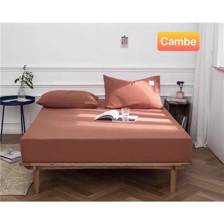 Ảnh Bộ ga gối Cotton Tici siêu dày dặn, Ga giường tici 3 món cao cấp, cắt ga theo yêu cầu 1