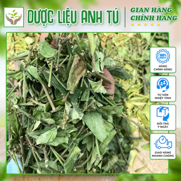 1kg Dây Thìa Canh khô💥Sản Phẩm Hỗ Trợ Giảm Tiểu Đường, Mỡ Máu