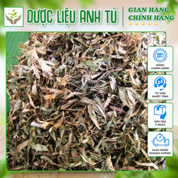 Lá Đinh Lăng Khô 💥 HÀNG CAO CẤP 💥 Lá Đinh Lăng Thái Độc Cho Người Mới Ốm Dậy, Giúp Ngủ Ngon, Giảm Ho Lâu Ngày