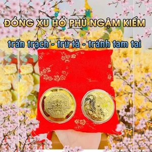 Đồng Xu Hổ Phù Hoá Sát Mạ Vàng Trừ Tà Mang Lại Bình An May Mắn Tài Lộc
