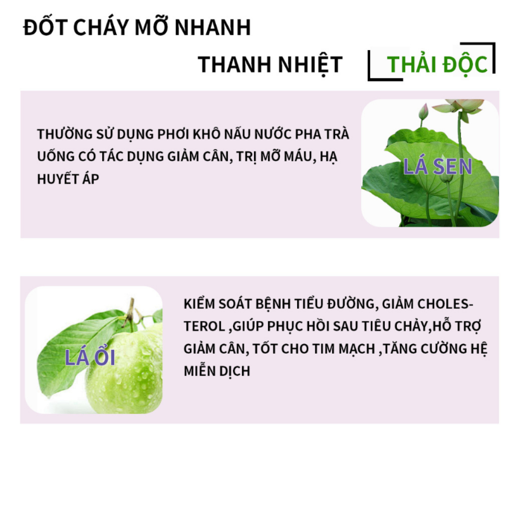 Trà búp ổi Bội lan đường giúp giảm cân, tiêu mỡ nhanh, hỗ trợ dạ dày, đại tràng - bịch 50 lọc