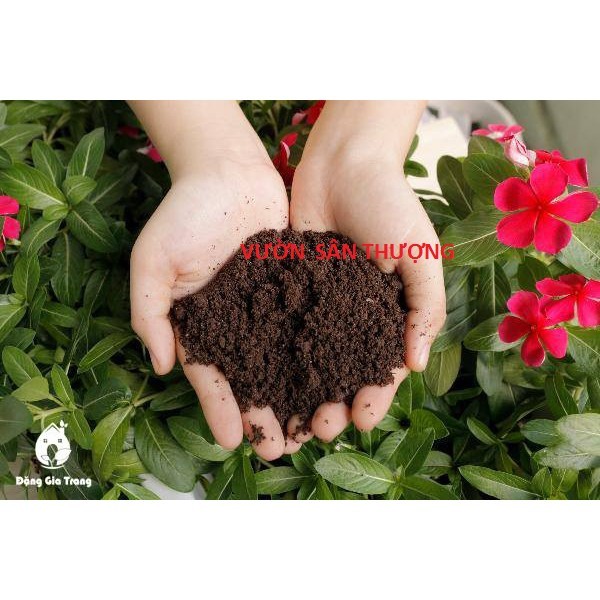 [ Gói 2kg] Phân Trùn Quế Sfarm Pb01 Đặng Gia Trang Đã Xử Lý Không Mùi, Cải Thiện Độ Mùn, Cân Bằng Ph