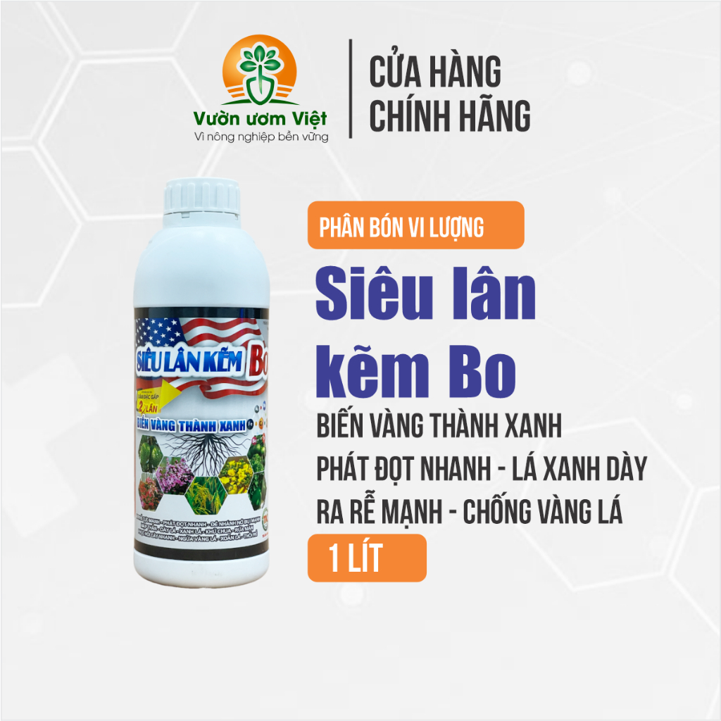Siêu Lân Kẽm Bo - biến vàng thành xanh, đâm đọt, ra rễ cực mạnh, lá xanh dày tăng sức đề kháng