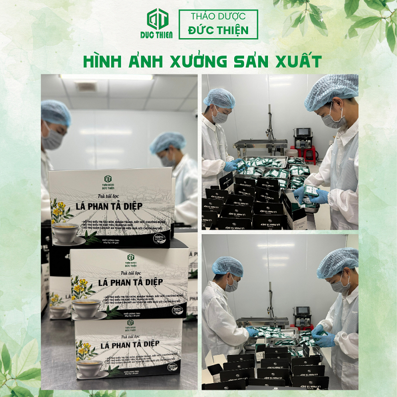Thảo dược hỗ trợ nhuận tràng - Trà Phan Tả Diệp Đức Thiện (Set 30 Túi Lọc)