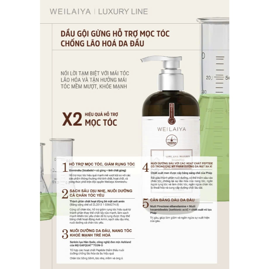Bộ dầu gội gừng Weilaiya Luxury detox hỗ trợ mọc tóc và chống lão hóa da đầu 420ml x 200ml