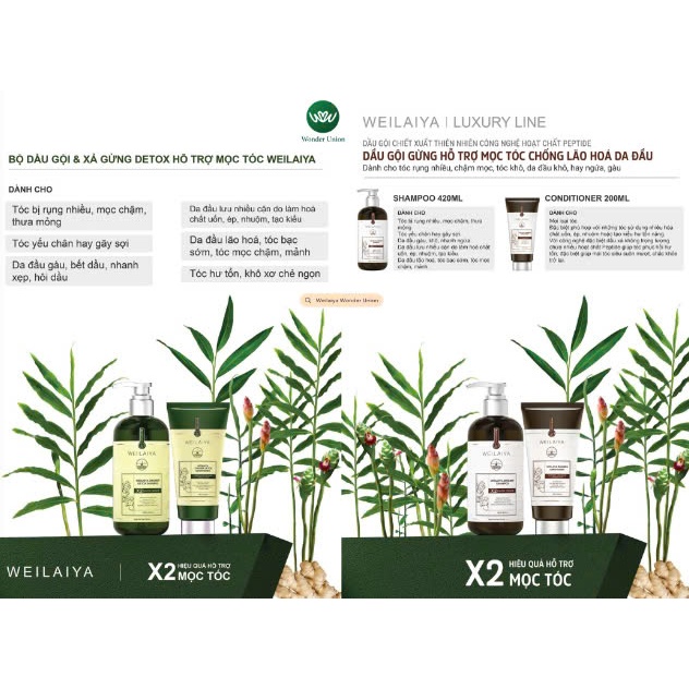 Bộ dầu gội gừng Weilaiya Luxury detox hỗ trợ mọc tóc và chống lão hóa da đầu 420ml x 200ml