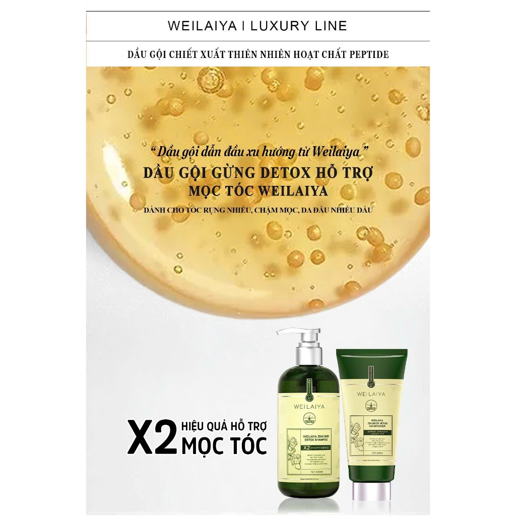 Ảnh Cặp dầu gội xả tóc thảo dược Weilaiya gừng giúp detox, chống lão hóa da đầu và kích thích mọc tóc cho da dầu 2