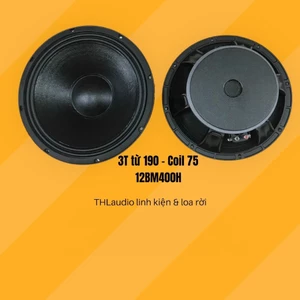 Bass 30cm từ 190 coil 75