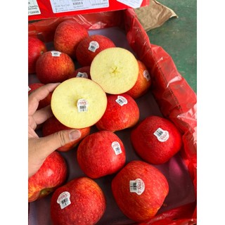 Táo Envy Mỹ Size 88 - 1kg