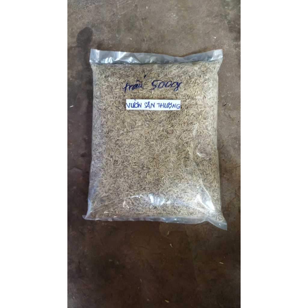 Giá Thể Vỏ Trấu Trồng Rau, Hoa Kiểng Gói 5dm Tương Đương 500 g