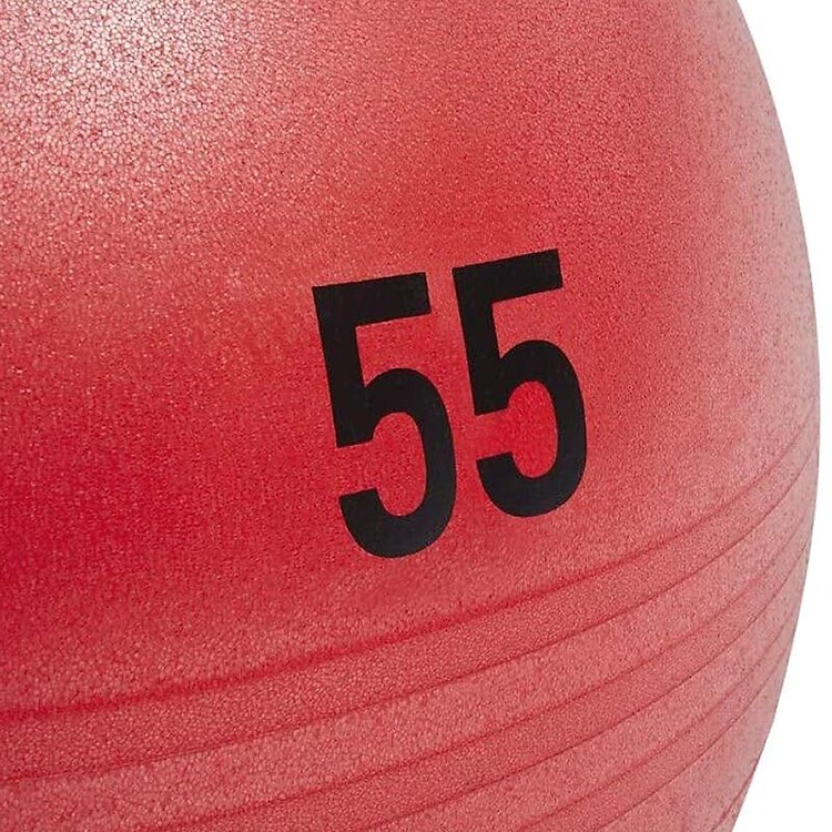 BÓNG ADIDAS 55CM ( 11245 )