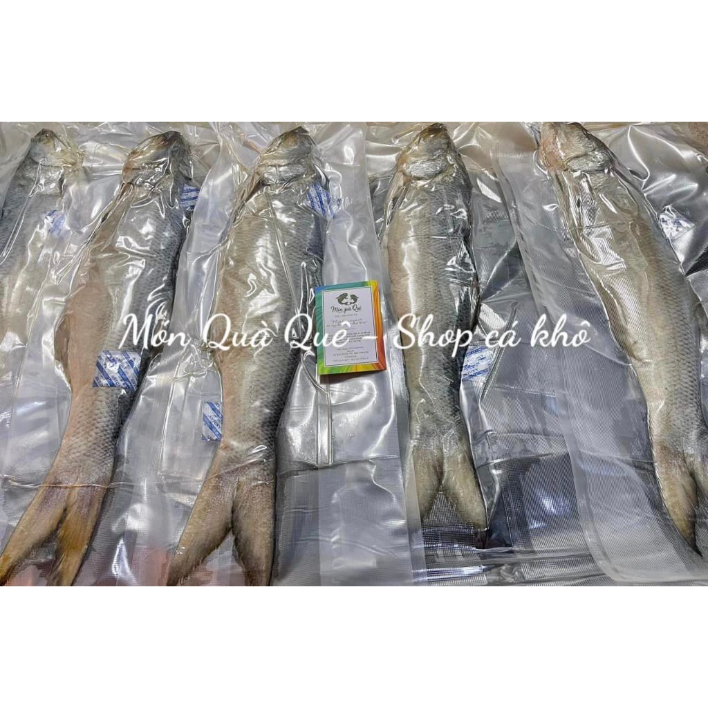 Mắm Chét chưng thịt, làm cơm chiên cá mặn, 1 con (900gram-1kG) ĐÓNG GÓI ...