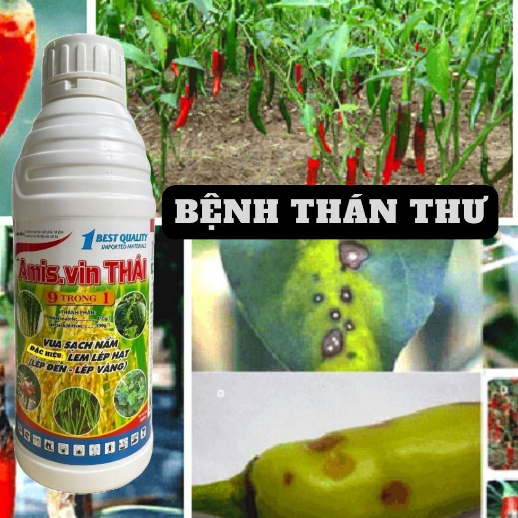 NẤM HỒNG,THÁN THƯ, RỈ SẮT, RONG RÊU AMIS.VIN THÁI 1 LÍT 110SC DÙNG ĐƯỢC ...