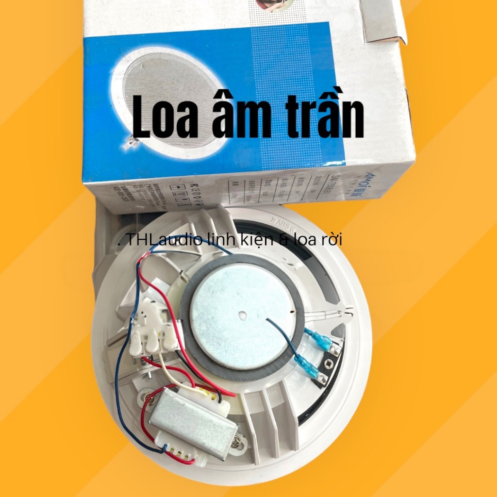 Loa Âm Trần cao cấp