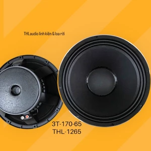 Loa 30 từ 170 coil 65 ( 1265 )
