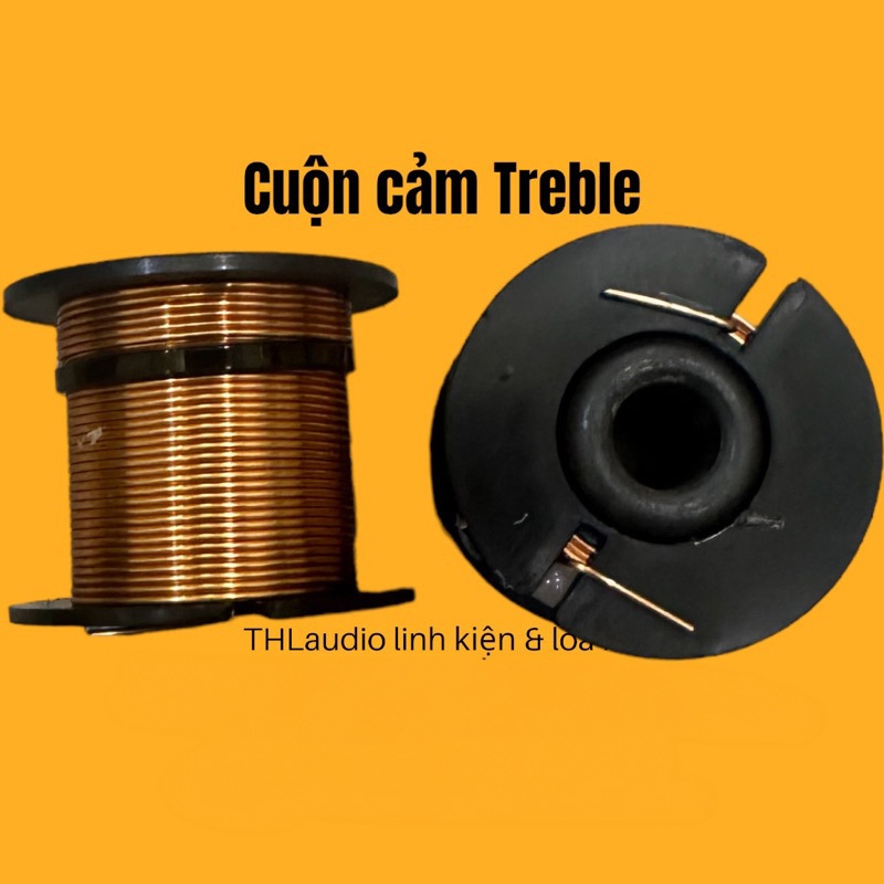 cuộn cảm chép