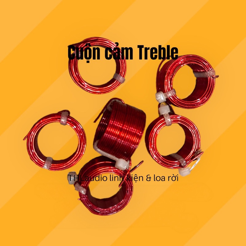 cuộn cảm chép