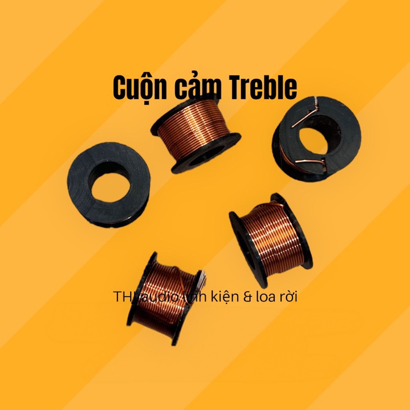 cuộn cảm chép