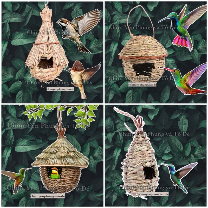 Tổ chim tự nhiên, làm thủ công, vật liệu thiên nhiên, dùng để trang trí ...
